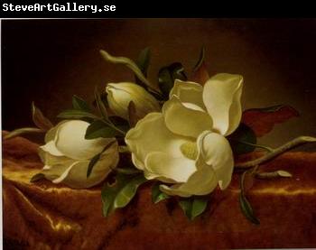 unknow artist Still life floral, all kinds of reality flowers oil painting 25